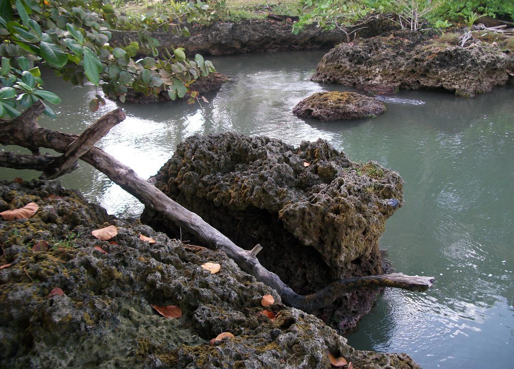 Piscina Natural On The Sea Кауита Экстерьер фото