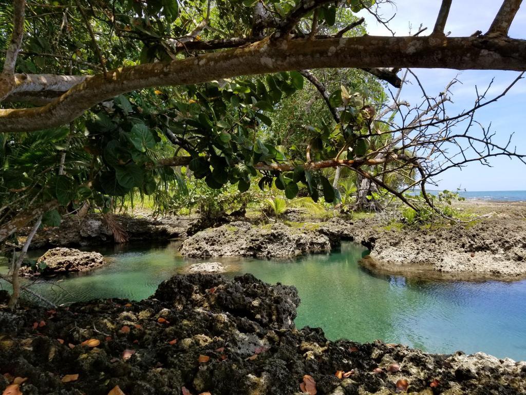 Piscina Natural On The Sea Кауита Экстерьер фото